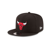 NE Chicago Bulls NBA 9Fifty Black
