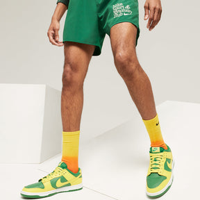 Nike Dunk Low Reverse Brazil