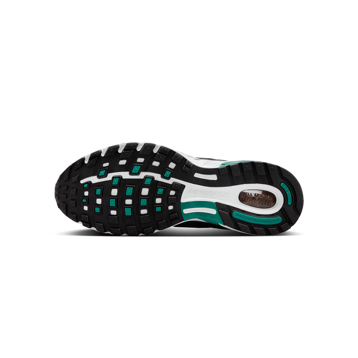 Nike Air Pegasus 2005 Bicoastal