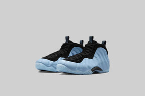 Nike Air Foamposite One 'Psychic Blue and Back'